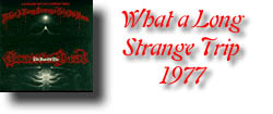 What Long Strange Trip It's Been - 1976 - (Best Of)